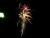 Silvestr 07 059